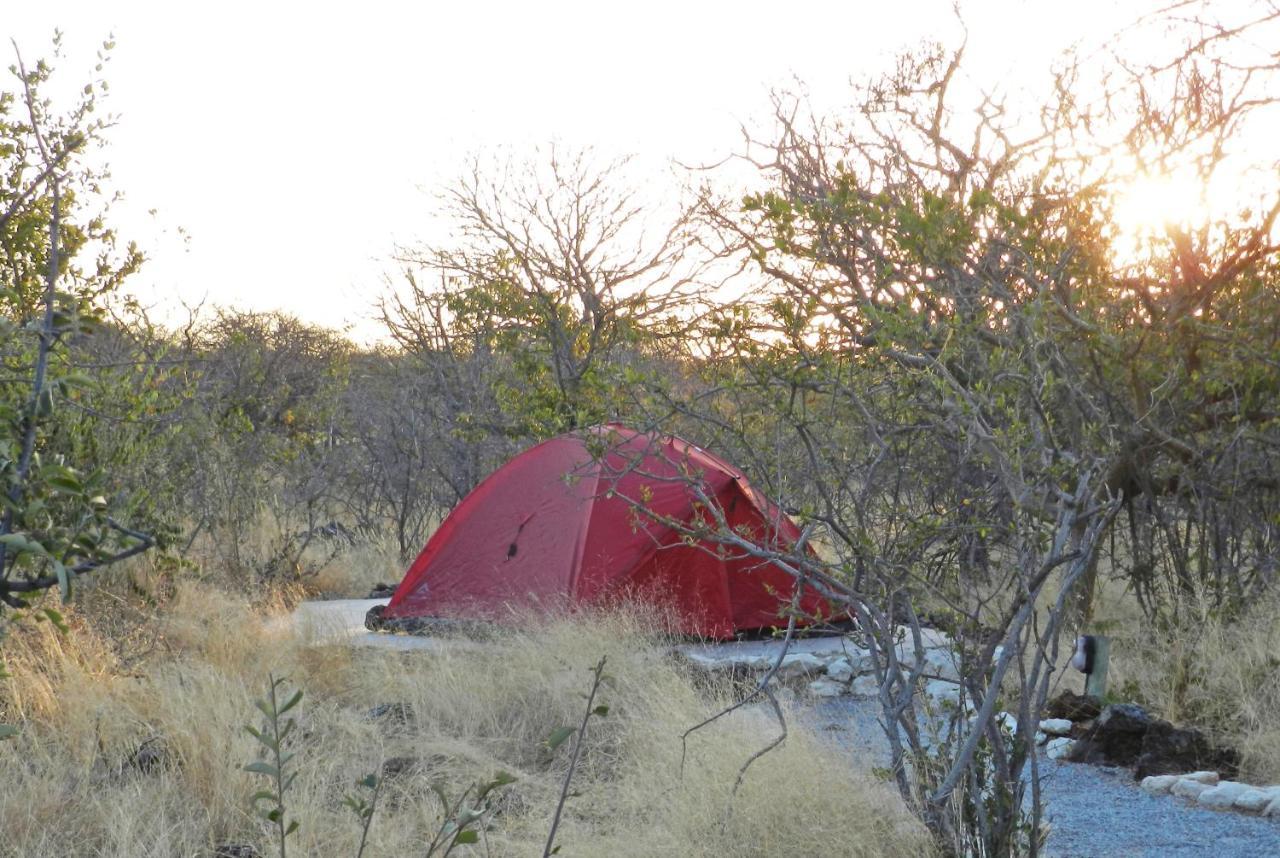 Etosha Village Campsite Okaukuejo Exteriör bild