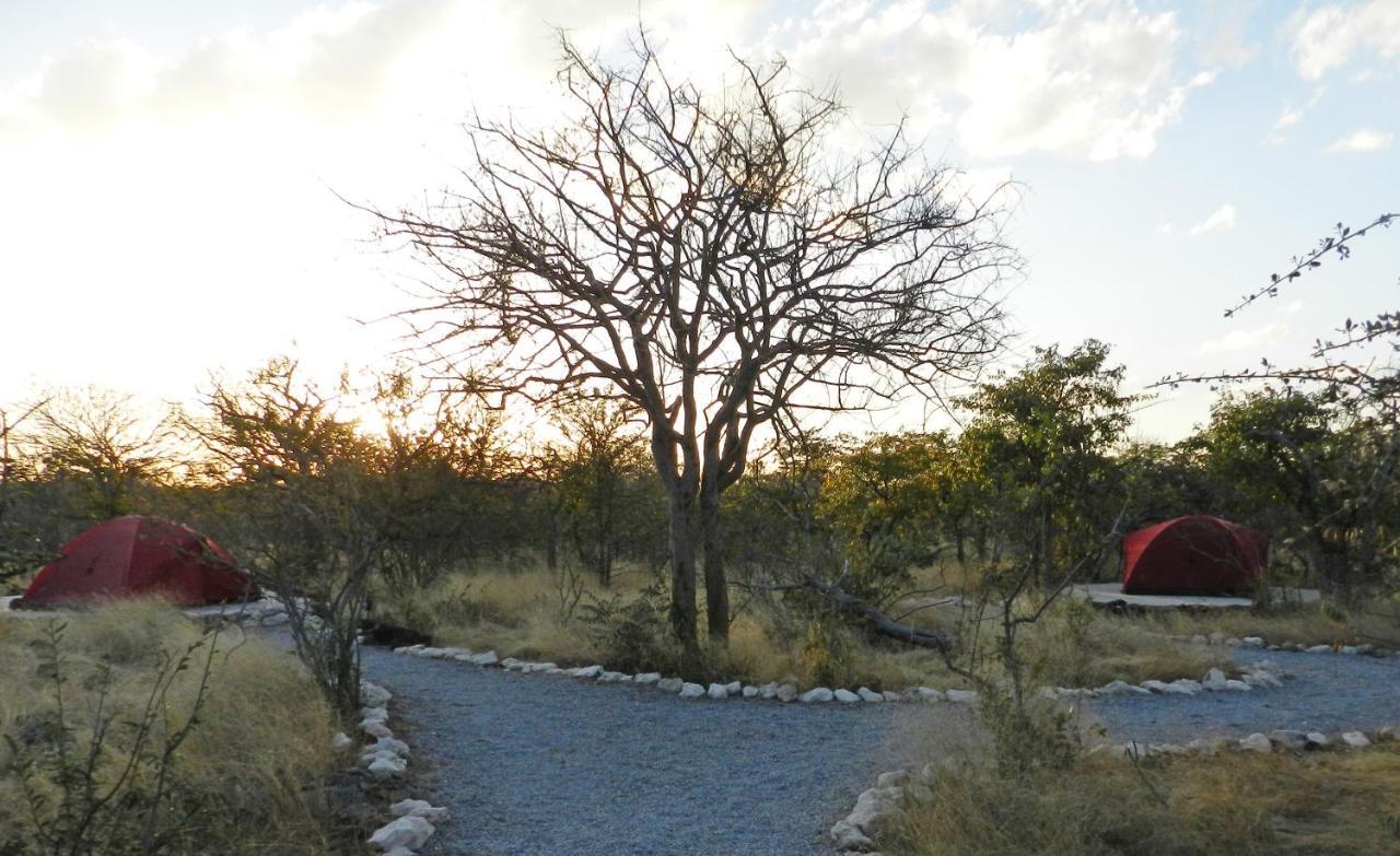 Etosha Village Campsite Okaukuejo Exteriör bild